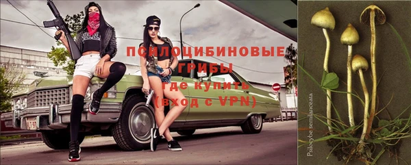 a pvp Абаза