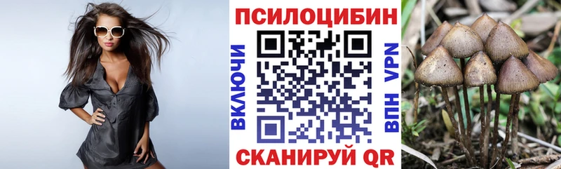 Псилоцибиновые грибы Magic Shrooms  Сарапул 